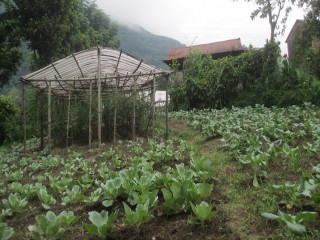 adhikari_yekikrit_krisi_farm